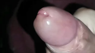 329 moaning porn videos